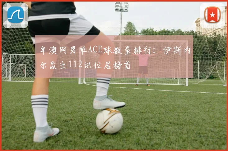 年澳网男单ACE球数量排行：伊斯内尔轰出112记位居榜首